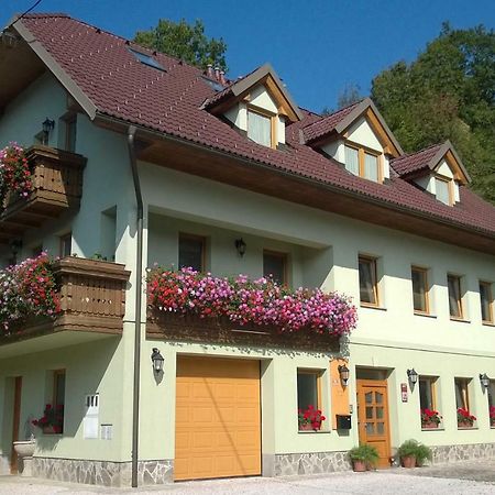 Apartmaji Hribar Pr'Ostank Kamnik Extérieur photo