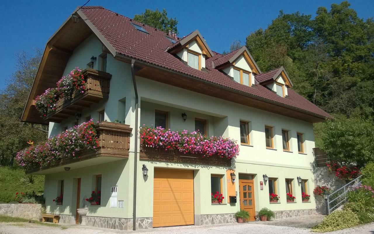 Apartmaji Hribar Pr'Ostank Kamnik Extérieur photo