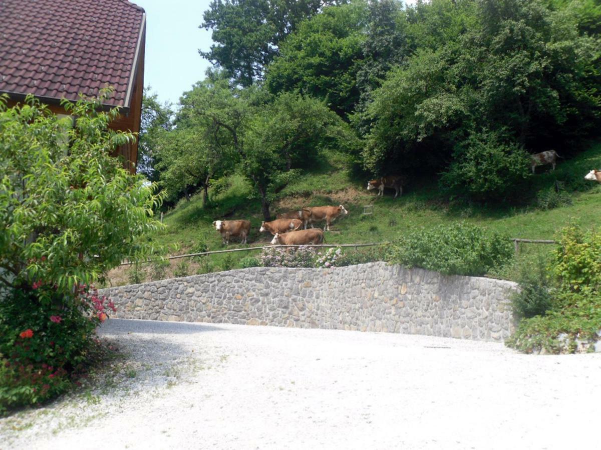 Apartmaji Hribar Pr'Ostank Kamnik Extérieur photo