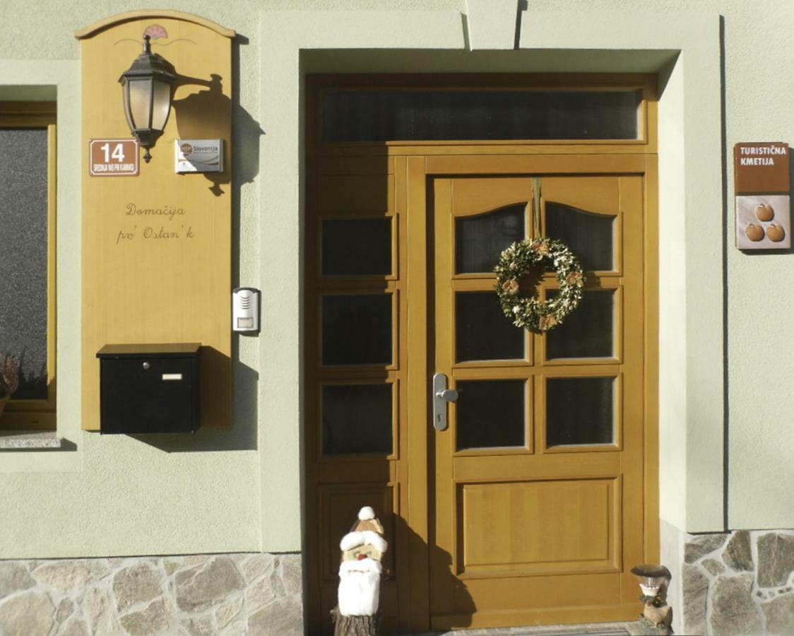 Apartmaji Hribar Pr'Ostank Kamnik Extérieur photo